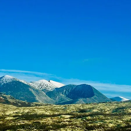 Architect-designed By Rondane *