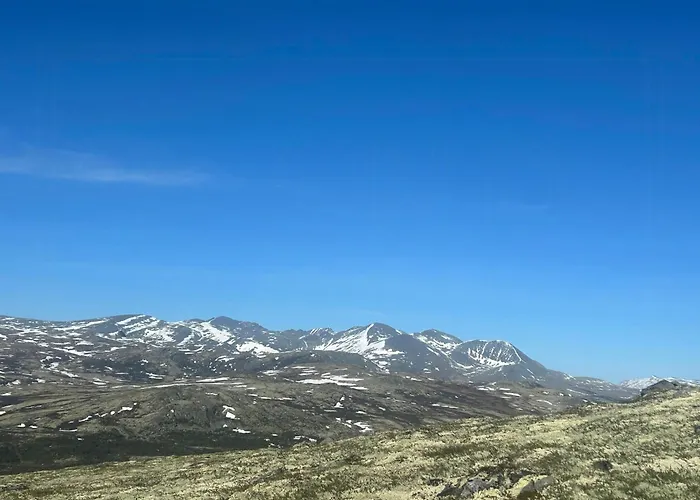 Architect-designed By Rondane Nyaraló Høvringen